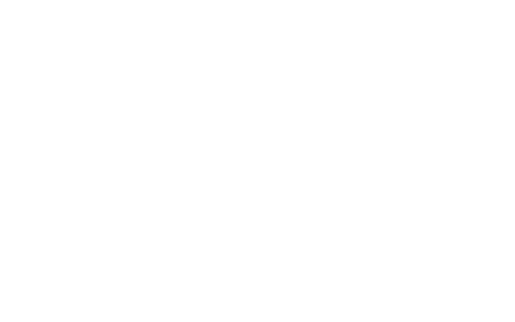 Partnership logo